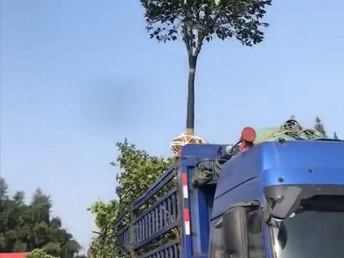 裝車(chē)現場(chǎng)